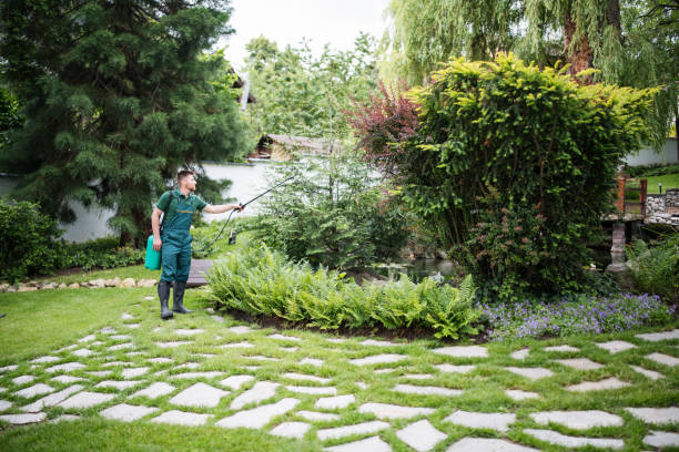 Best Best Pest Control Companies  in Pine Lake Park, NJ