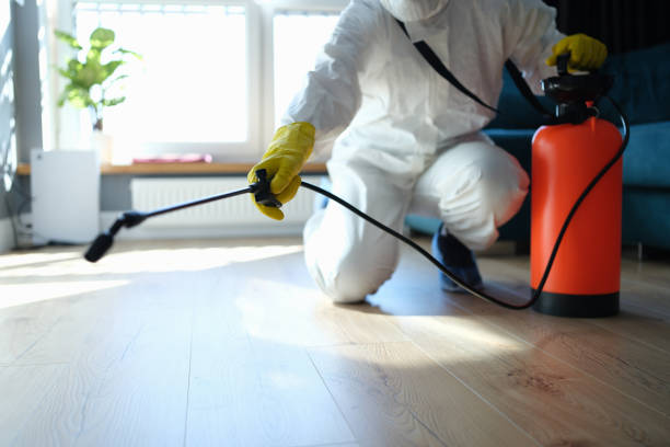 Flea Control Services in Pine Lake Park, NJ