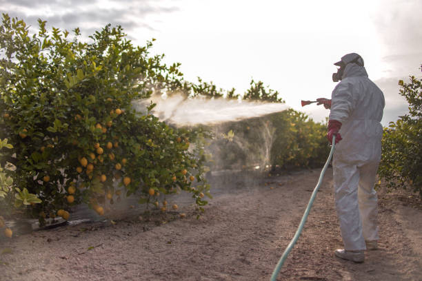 Pest Control for Restaurants in Pine Lake Park, NJ